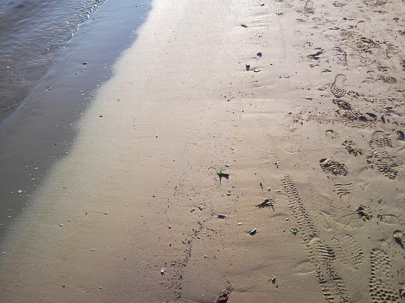 SNC00061.jpg - L'ARENILE