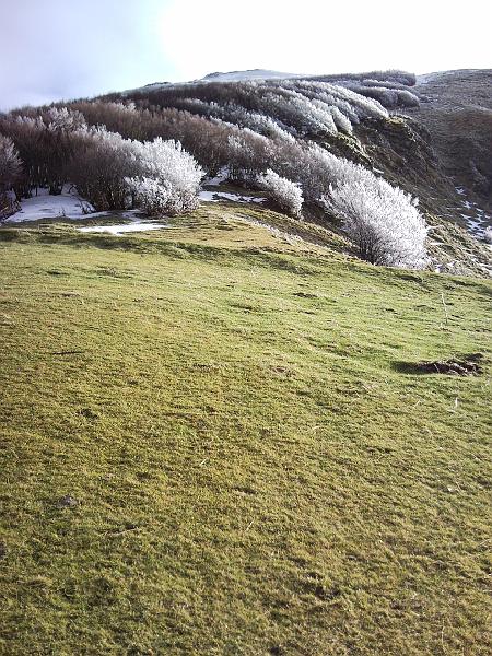 SNC00123.jpg - "la galaverna" 2