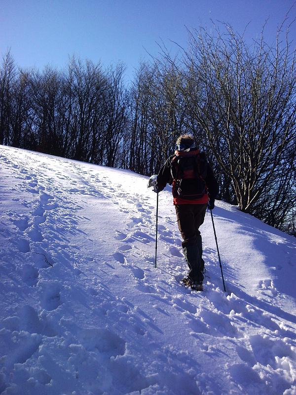 SNC00145.jpg - CAMMINA CAMMINA