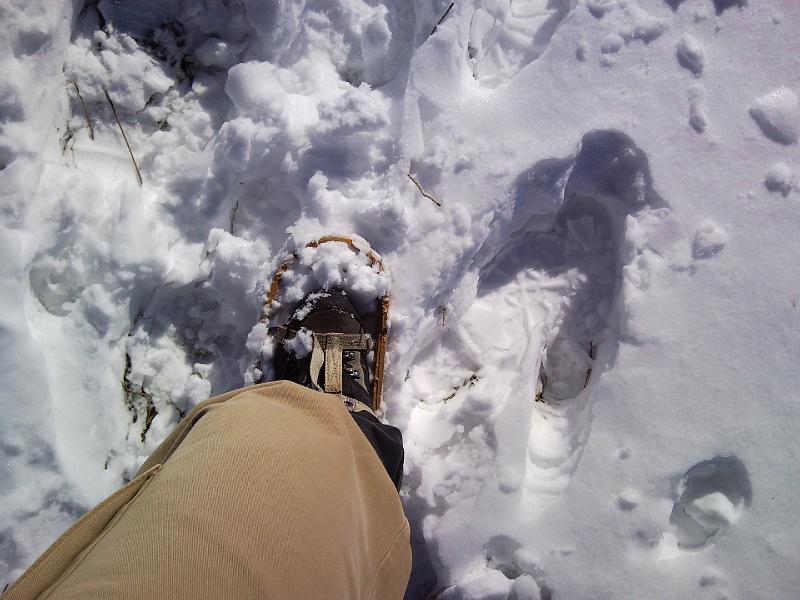 SNC00157.jpg - LE CIASPOLE