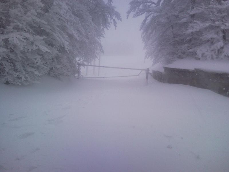 SNC00206.jpg - AVETE CHIUSO BENE LA PORTA?