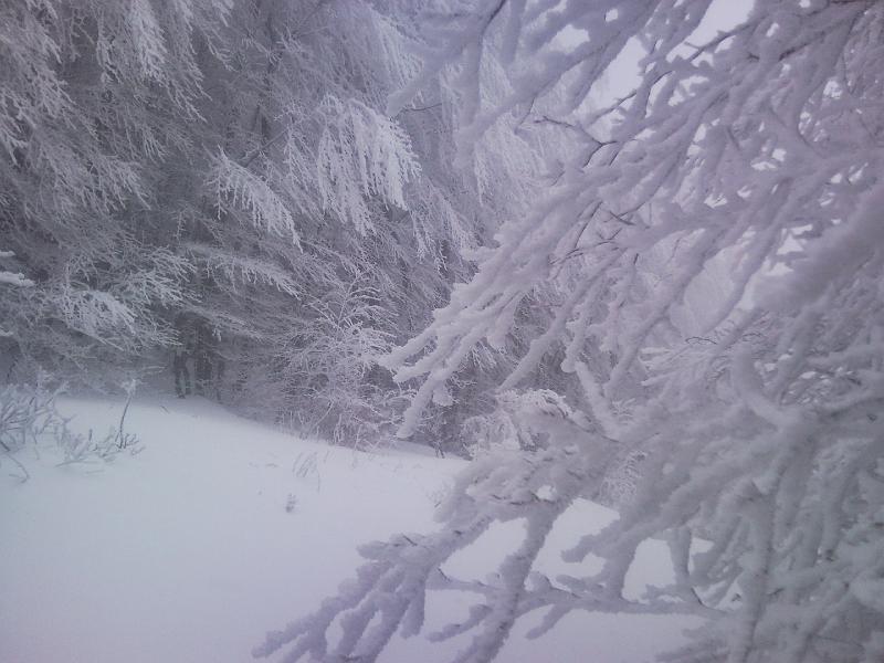 SNC00209.jpg - GHIACCIO E NEVE