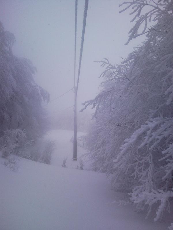 SNC00212.jpg - SI VA ALLA BAITA PIU' VICINA