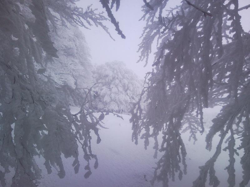 SNC00215.jpg - SENZA PAROLE