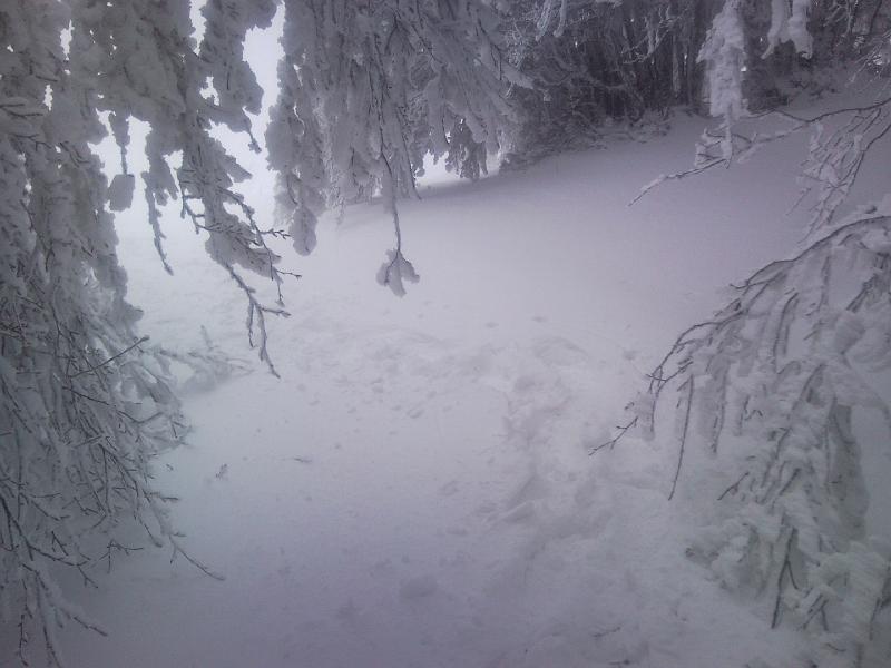 SNC00217.jpg - QUI C'E' PASSATO QUALCUNO