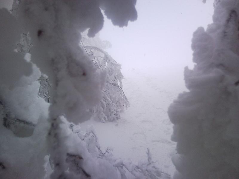 SNC00218.jpg - CI STANNO INSEGUENDO