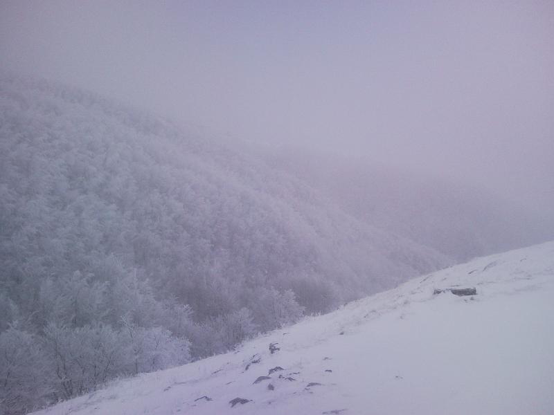 SNC00220.jpg - BIANCO