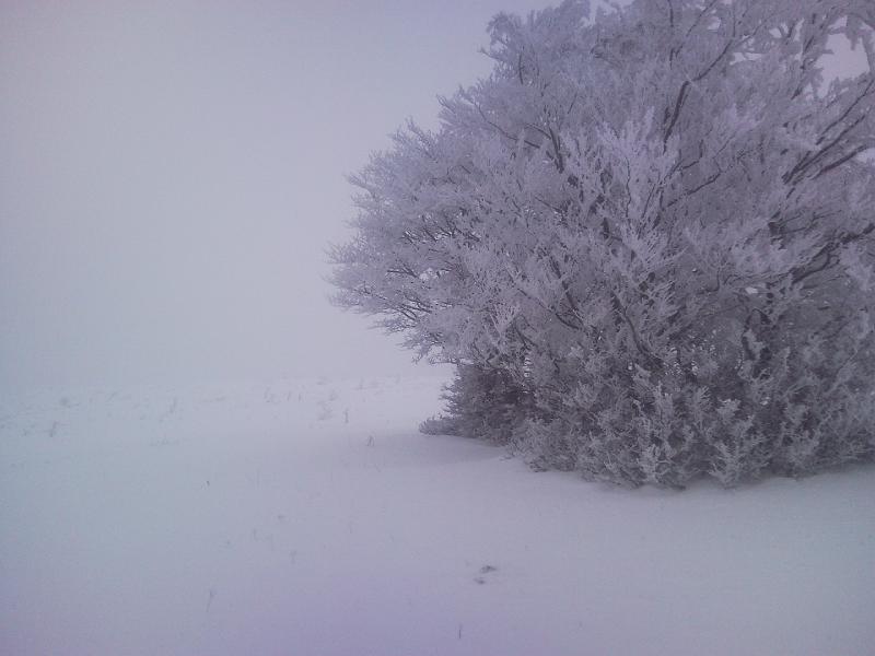 SNC00224.jpg - NEVE E GHIACCIO