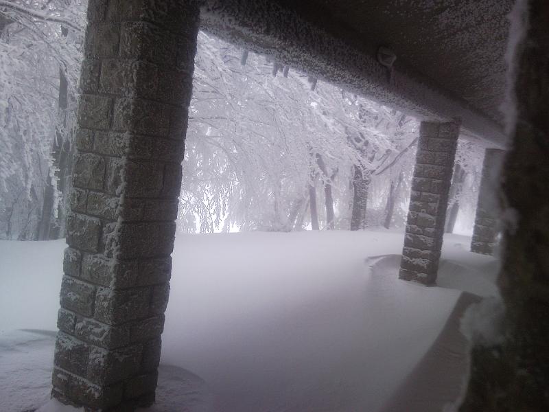 SNC00229.jpg - FINALMENTE SI MANGIA