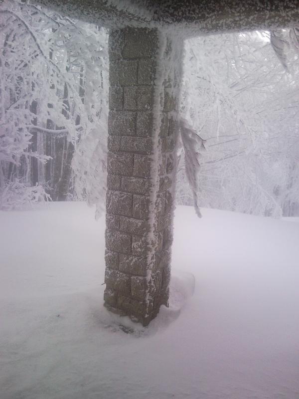 SNC00230.jpg - VARIE ED EVENTUALI