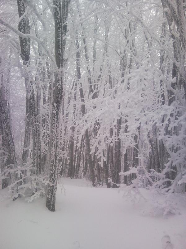 SNC00231.jpg - VARIE ED EVENTUALI