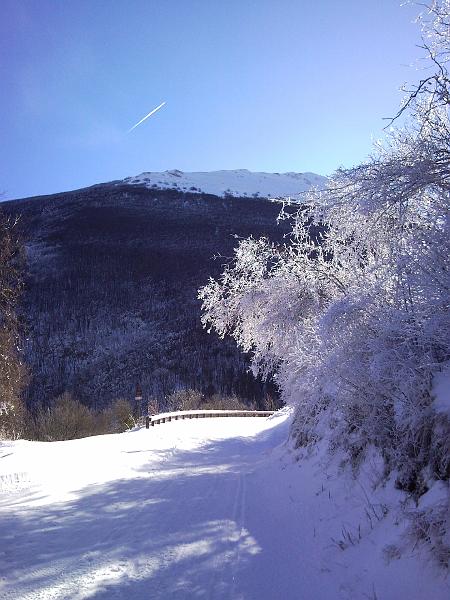 SNC00237.jpg - FIANCO DEL MONTE ACUTO