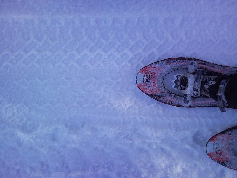 SNC00240.jpg - LE CIASPOLE SUL GHIACCIO