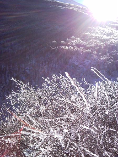 SNC00245.jpg - CHIARO DOVE SIAMO?