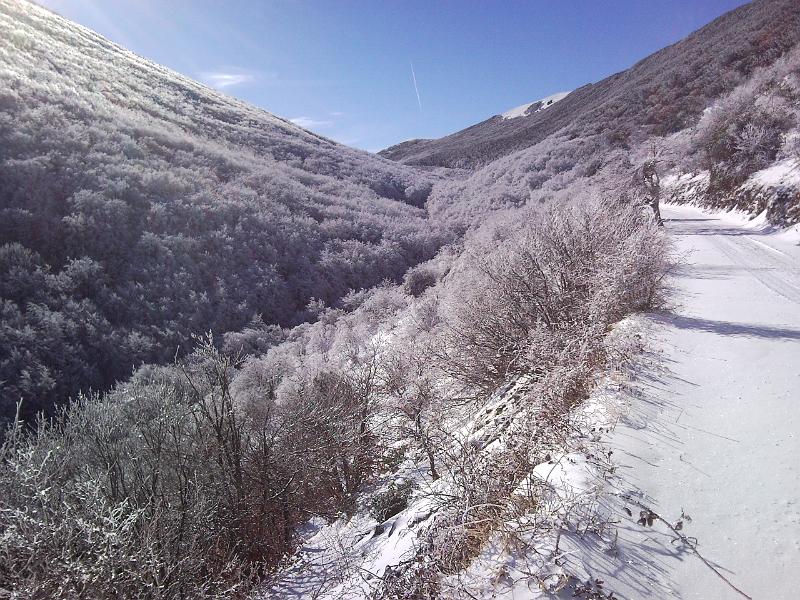 SNC00247.jpg - VOLENDO SI POTREBBE ORGANIZZARE UN BEL PICNIC A FONDOVALLE..