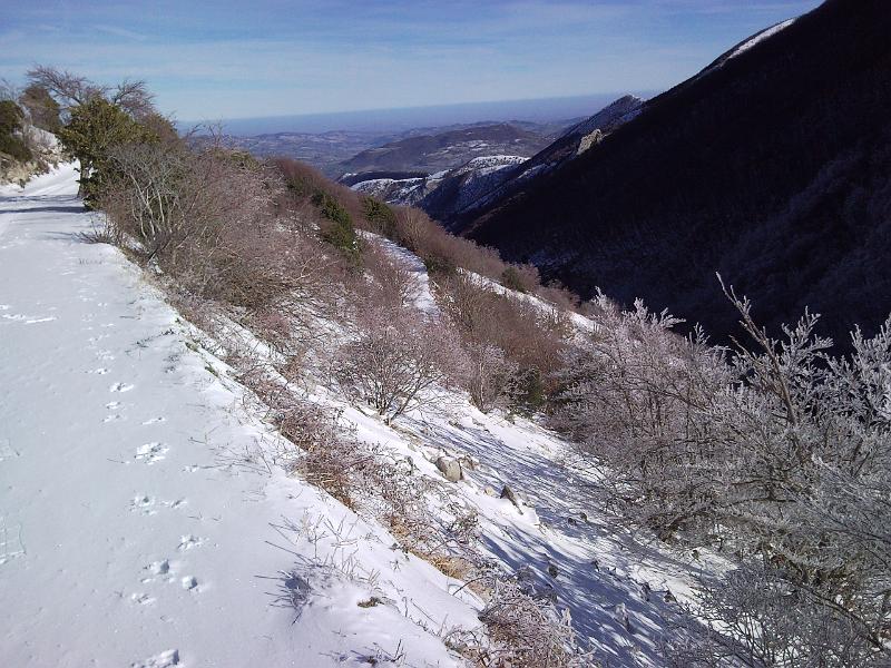 SNC00251.jpg - UNO SGUARDO A FRONTONE