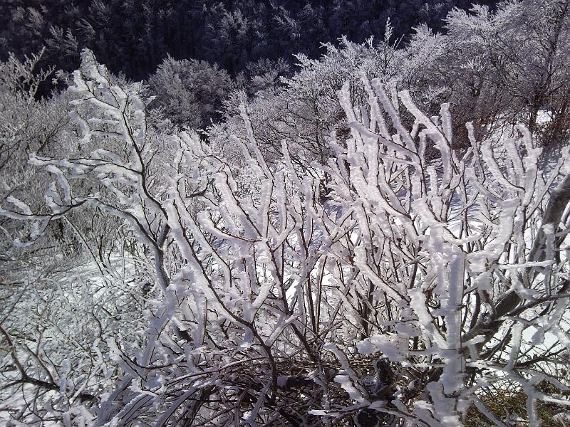 SNC00252.jpg - GHIACCIO, GHIACCIO..