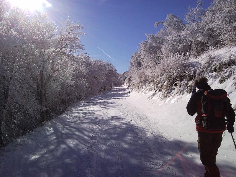 SNC00253.jpg - IL TUNNEL