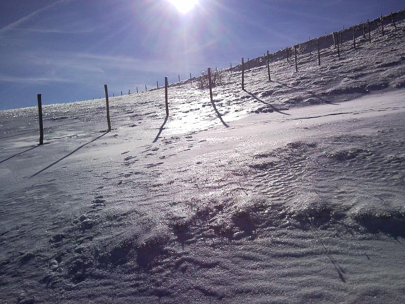 SNC00260.jpg - GHIACCIO, NEVE, SOLE..