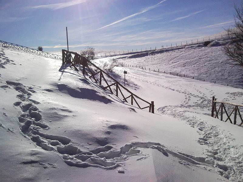 SNC00276.jpg - OGGI SI MANGIA IN RIFUGIO!