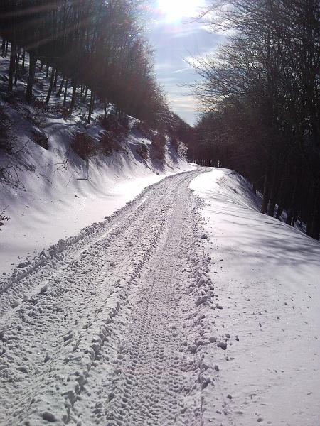 SNC00278.jpg - CI RIMETTIAMO IN MOTO