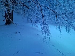 SNC00286.jpg - FINALMENTE ALLA FONTE DI BOCCA DELLA VALLE