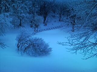 SNC00287.jpg - CHE SPETTACOLO!